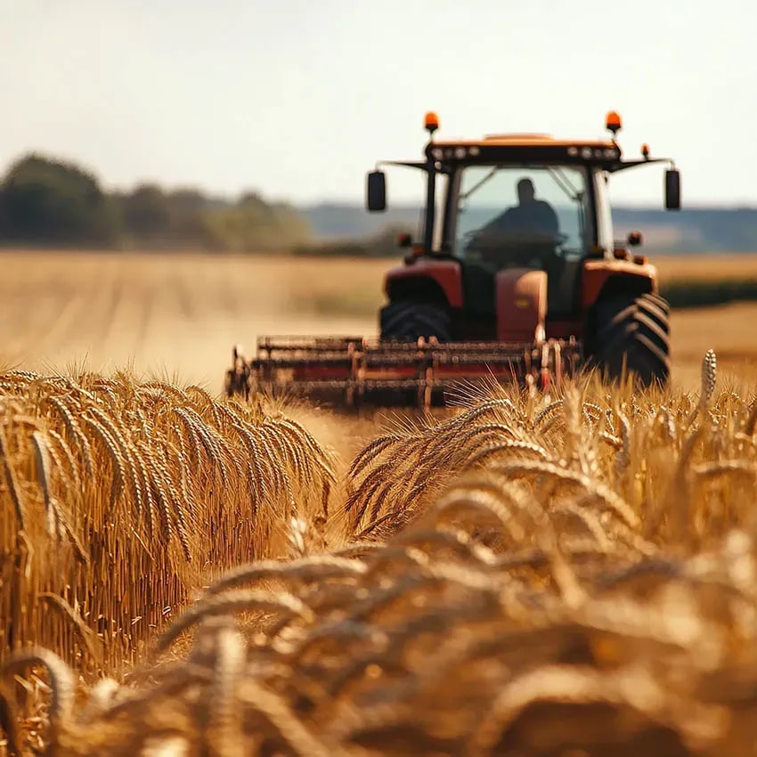 Berufsbedingte Unfallabsicherung für Landwirte in Neusiedl