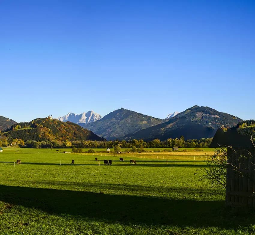 Beste Agrarversicherung für kleine Bauernhöfe
